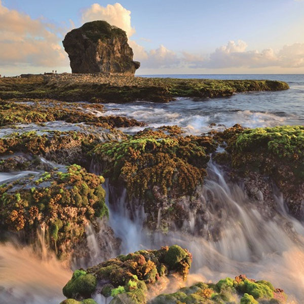北海岸六日遊｜台東縱谷、南迴墾丁山海、高雄台南、阿里山日月潭九份