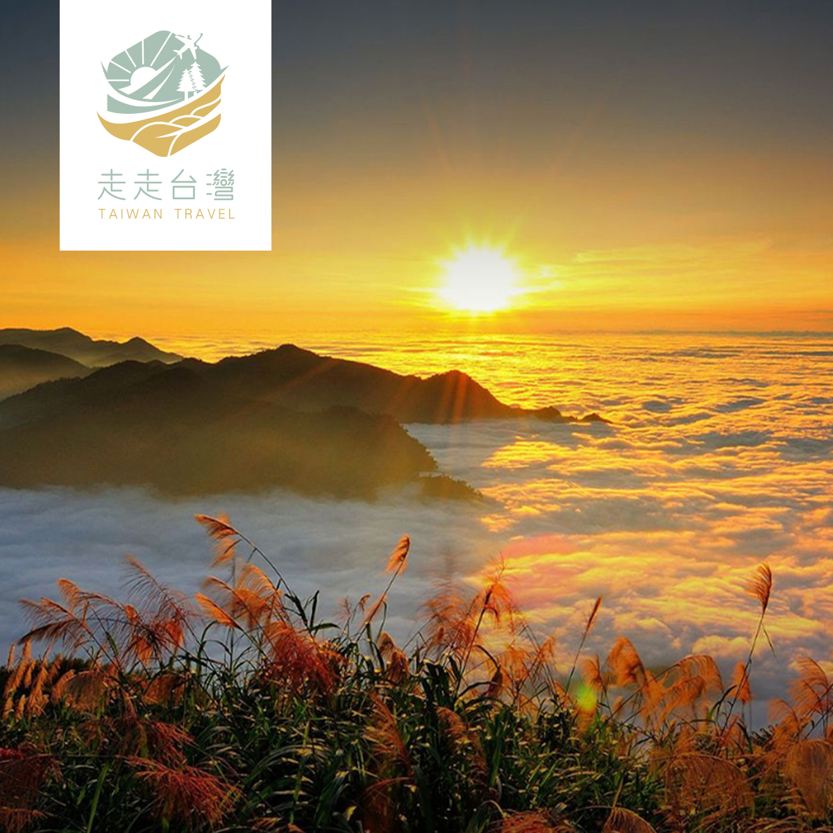 【修改中】玉山新中橫群山美景