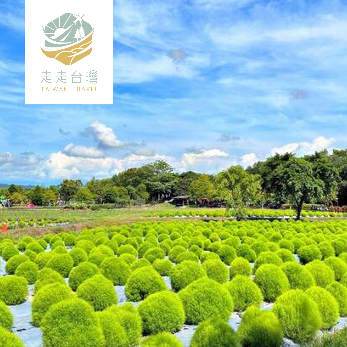 【洄瀾山水】 花蓮福容、曼波海洋休閒園區、天空之鏡沙灘車、童話歐風小屋三日